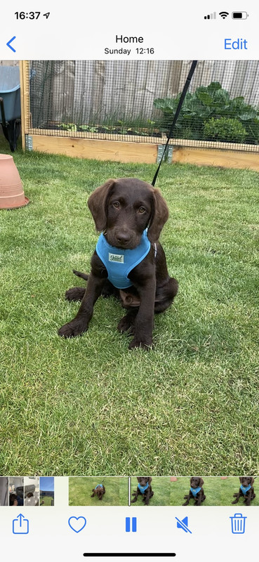 1261AC19-7915-4A29-AADA-8E29E000DA28