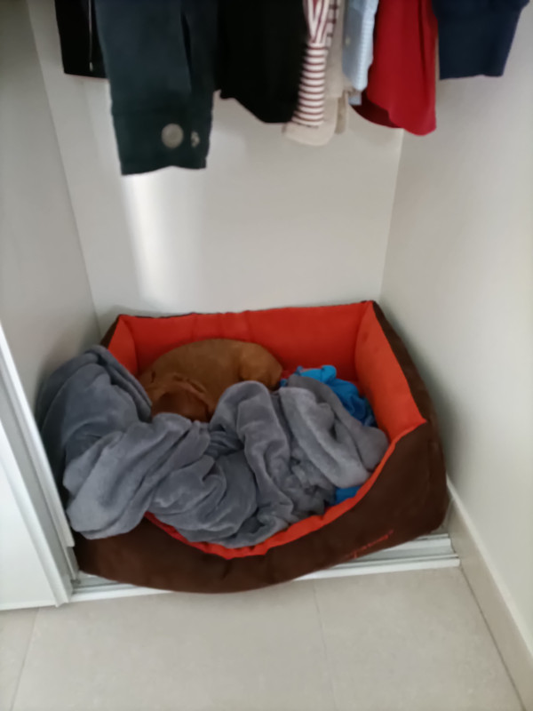 [Image: IMG20211112093608.jpg]