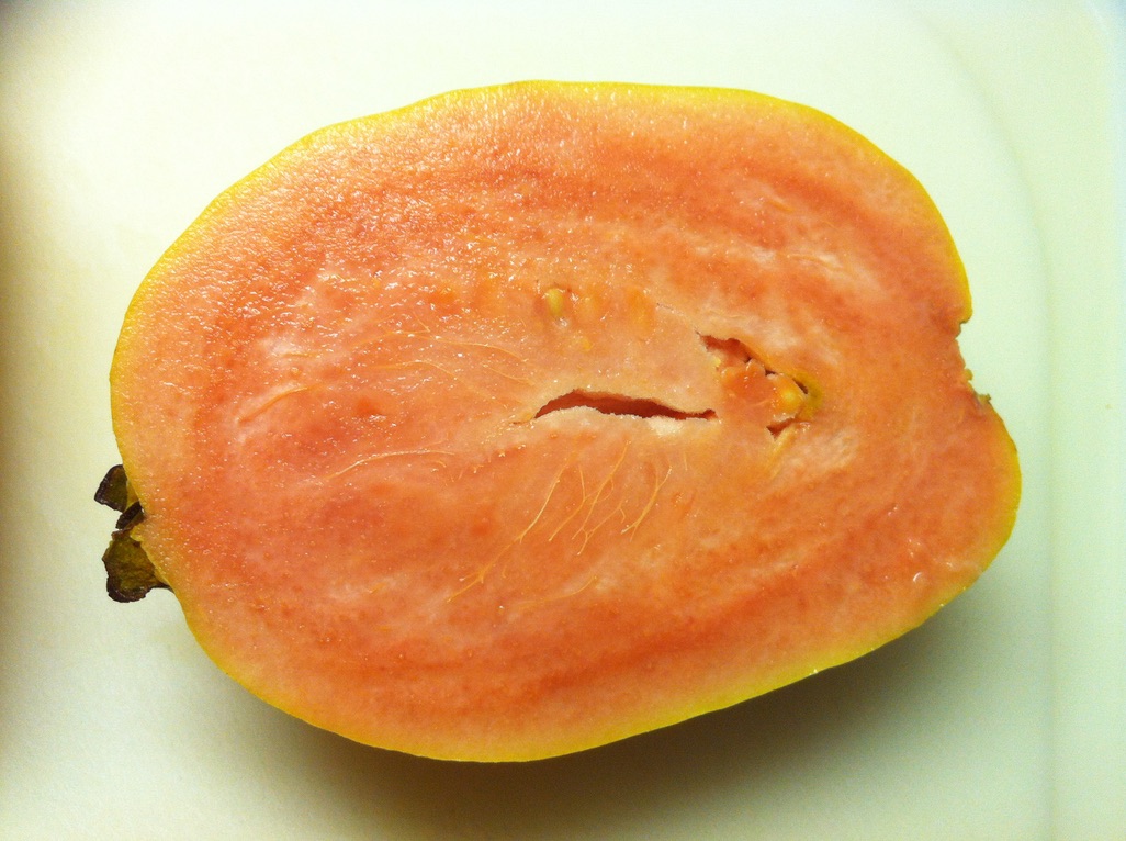 26D67A43-B3B2-4C3B-A752-CABF7CE553F8_1_105_c