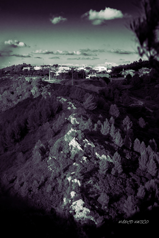 HIve-Vinhas-Miradouro-Bn-W-04.jpg