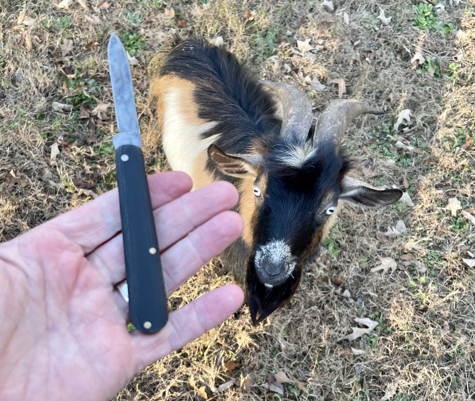 0CDF4956-CC55-478E-8558-983DB0381413