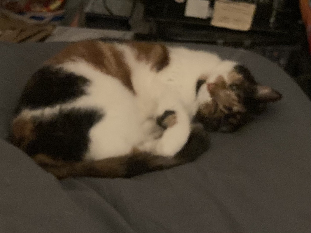 096D7F0A-9B8B-4807-91E0-BEBBEED95FEC