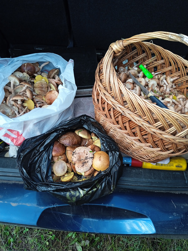 IMG_20220910_134253_1