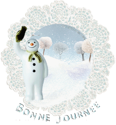 dimanche 13 janvier JOURNEE-D-HIVER-CHAT-A-16-X
