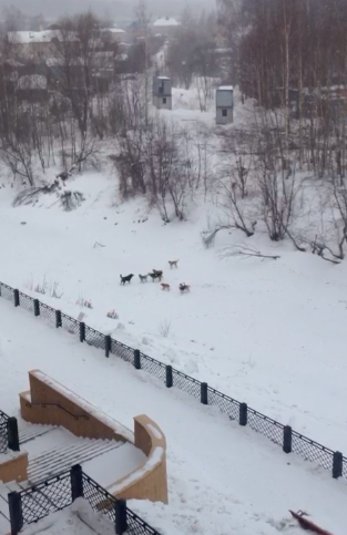 Снимок экрана 2018-03-23 в 11.44.22