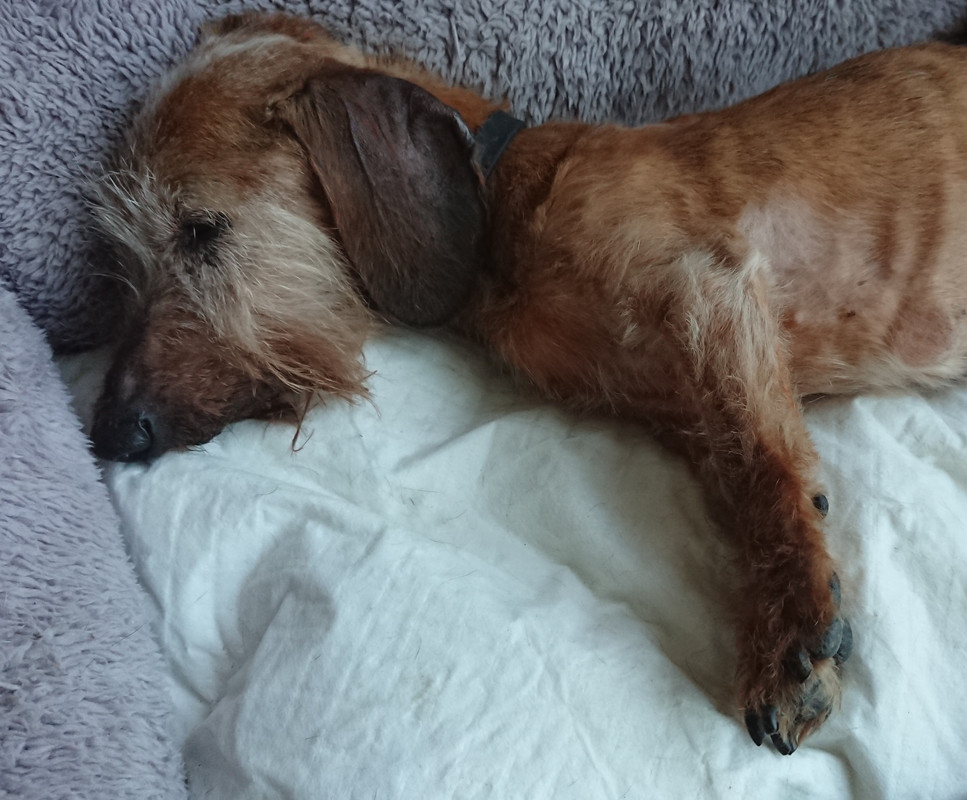 [Image: 20220829-193704.jpg]