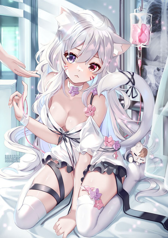 shyrei-faolan-vguyen-drawn-by-squchan-344d0e0f83ab93b6dd235a80068f74dc-1