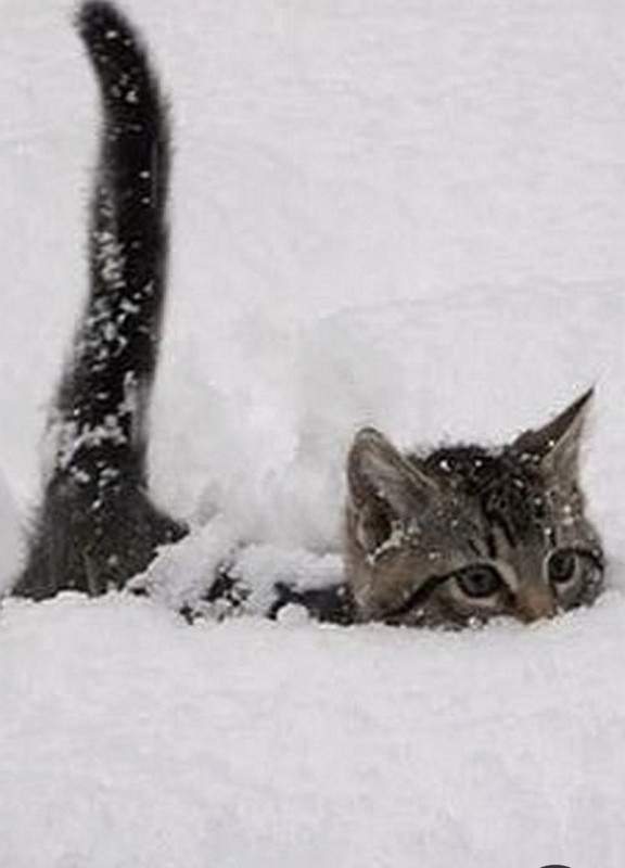 Screenshot_20231212_202529_Pinterest