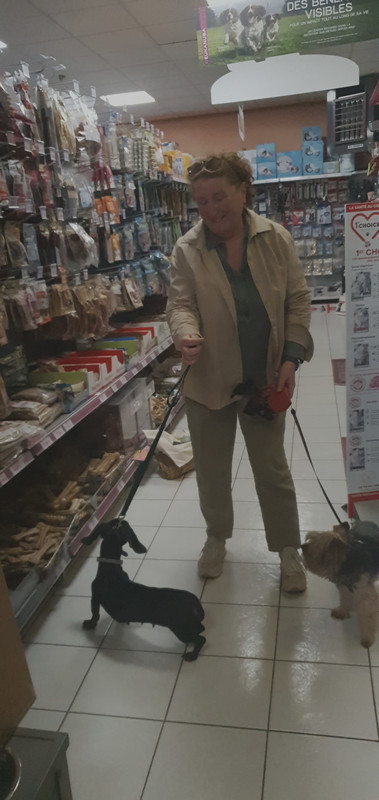 [Image: 20221022-165211.jpg]