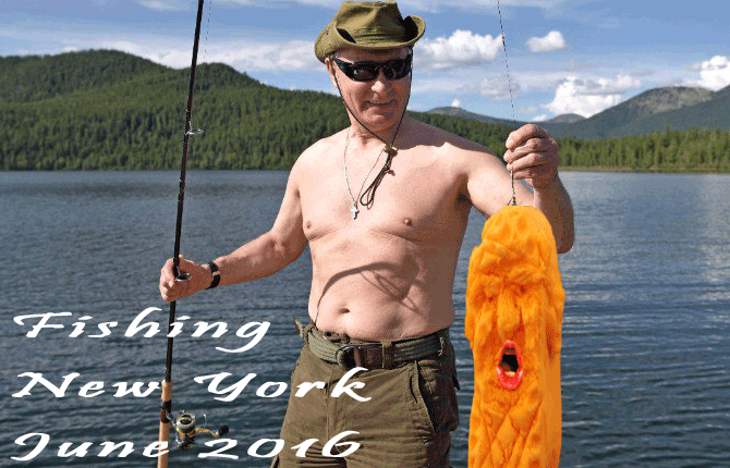TGOD-Putin-Fishing-NY2016.gif