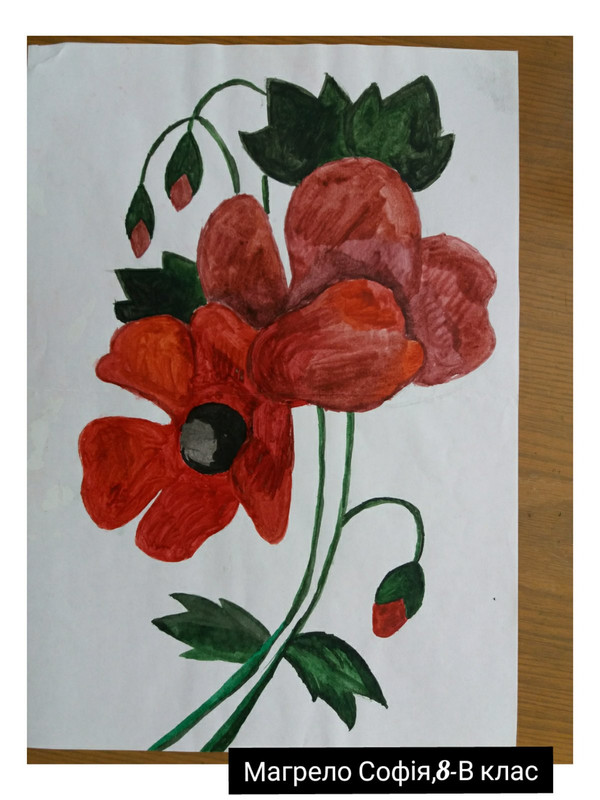 зображення_viber_2020-05-07_16-09-25