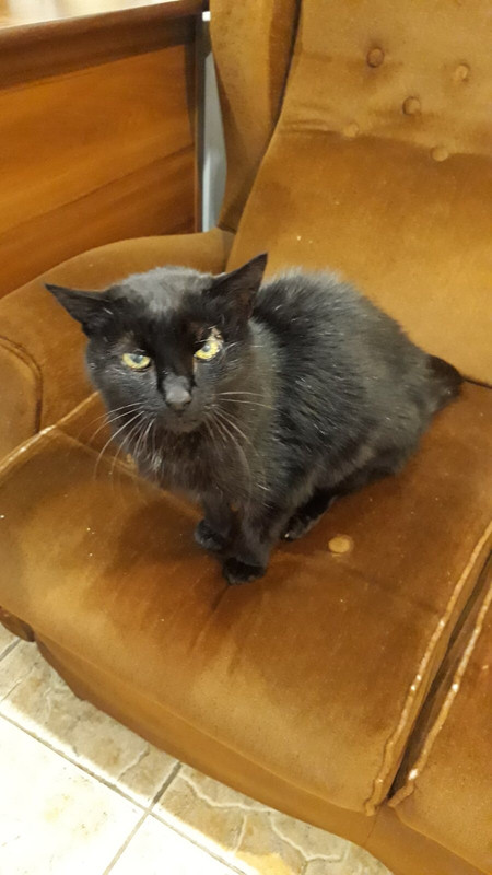 0BC215B7-FABC-4D6D-B782-219D7FF47A4A