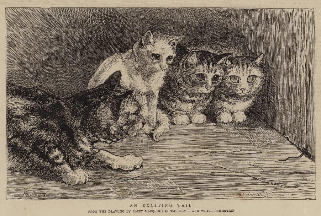 2-Percy-Macquoid-An-Exciting-Tail-Meister-Drucke-296637