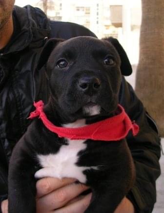 D3BDC26C-6261-45E2-A808-739E5374EBD6