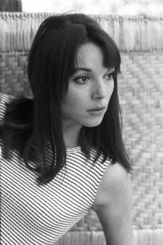 elsa_martinelli_b88