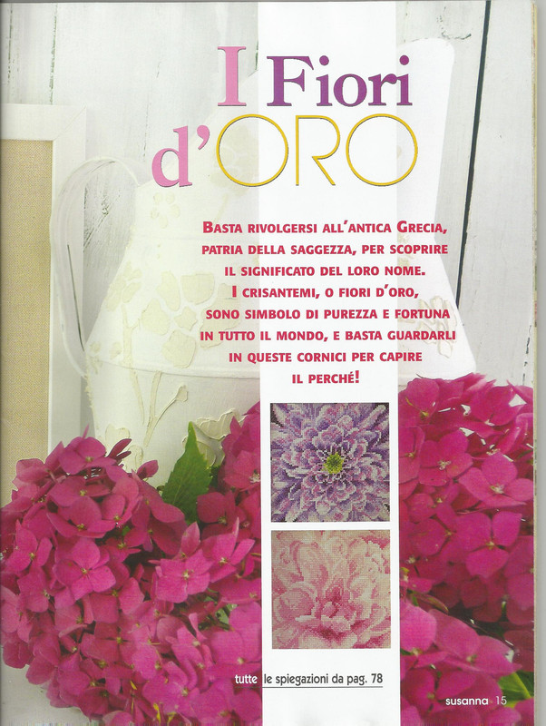 269849-7160a-72456439--u09c00