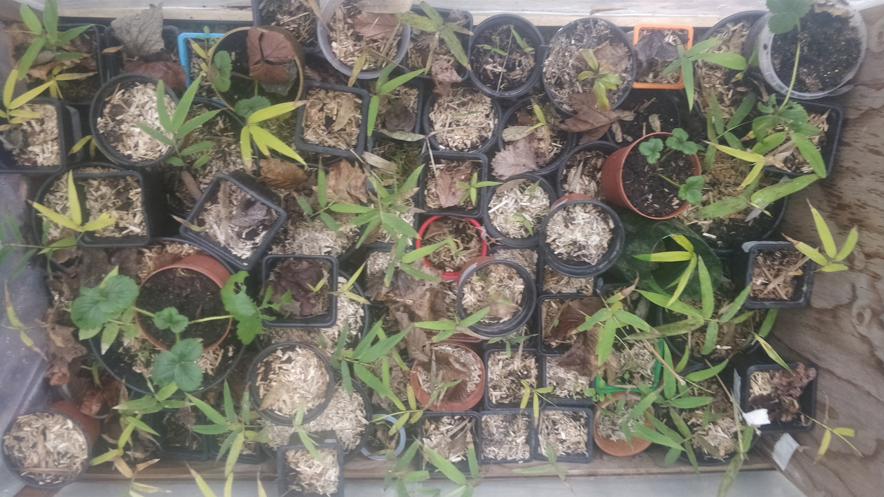 IMG_20210119_131135 (1)