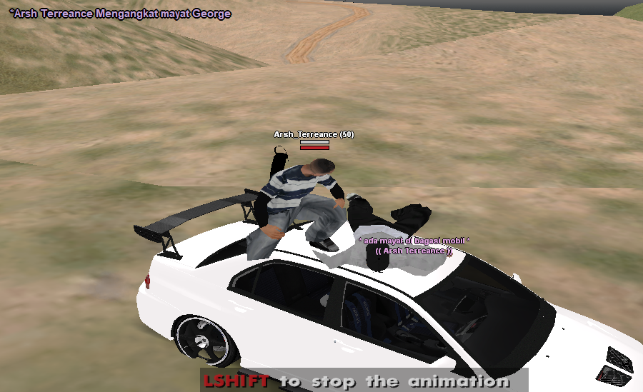 ss12.png