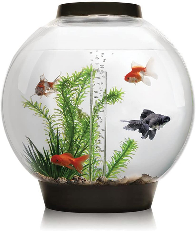 Biorb alternative Aquarium Forums UK