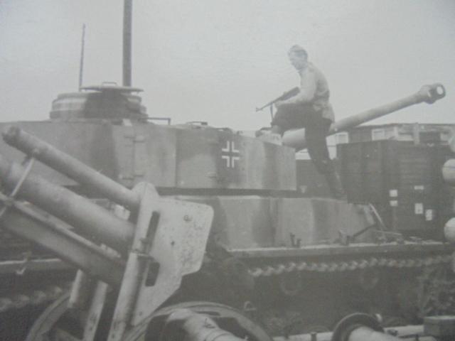 02B dobove-foto-91347187