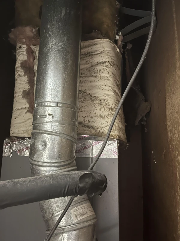 how do i make my clothes smell good again v0 b3y4k228lewg1