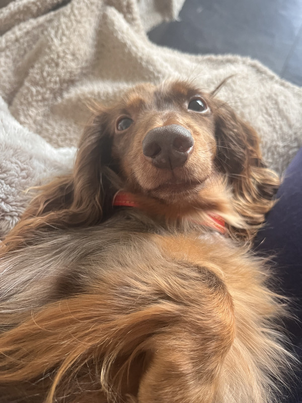 [Image: IMG-1534.jpg]