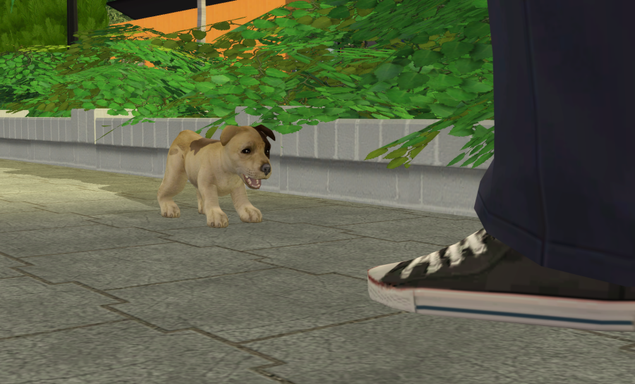 Sims2-EP9-RPC-2021-05-29-20-28-06-59