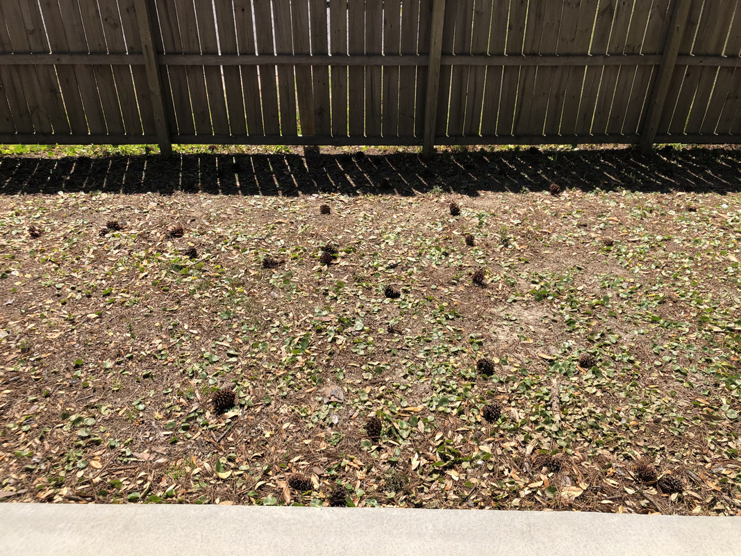 4A18BA03-DDF4-47E5-A829-3DF1317564D7