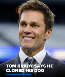 Tom Brady Says He Cloned His Dog - NFL General - Indianapolis Colts Fan