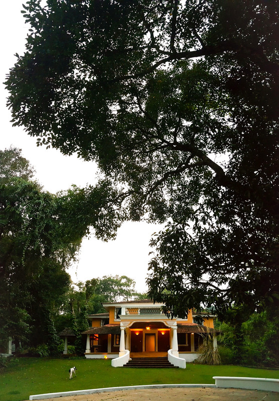 7E50A395-1916-4584-AFED-A65ED348F0F5