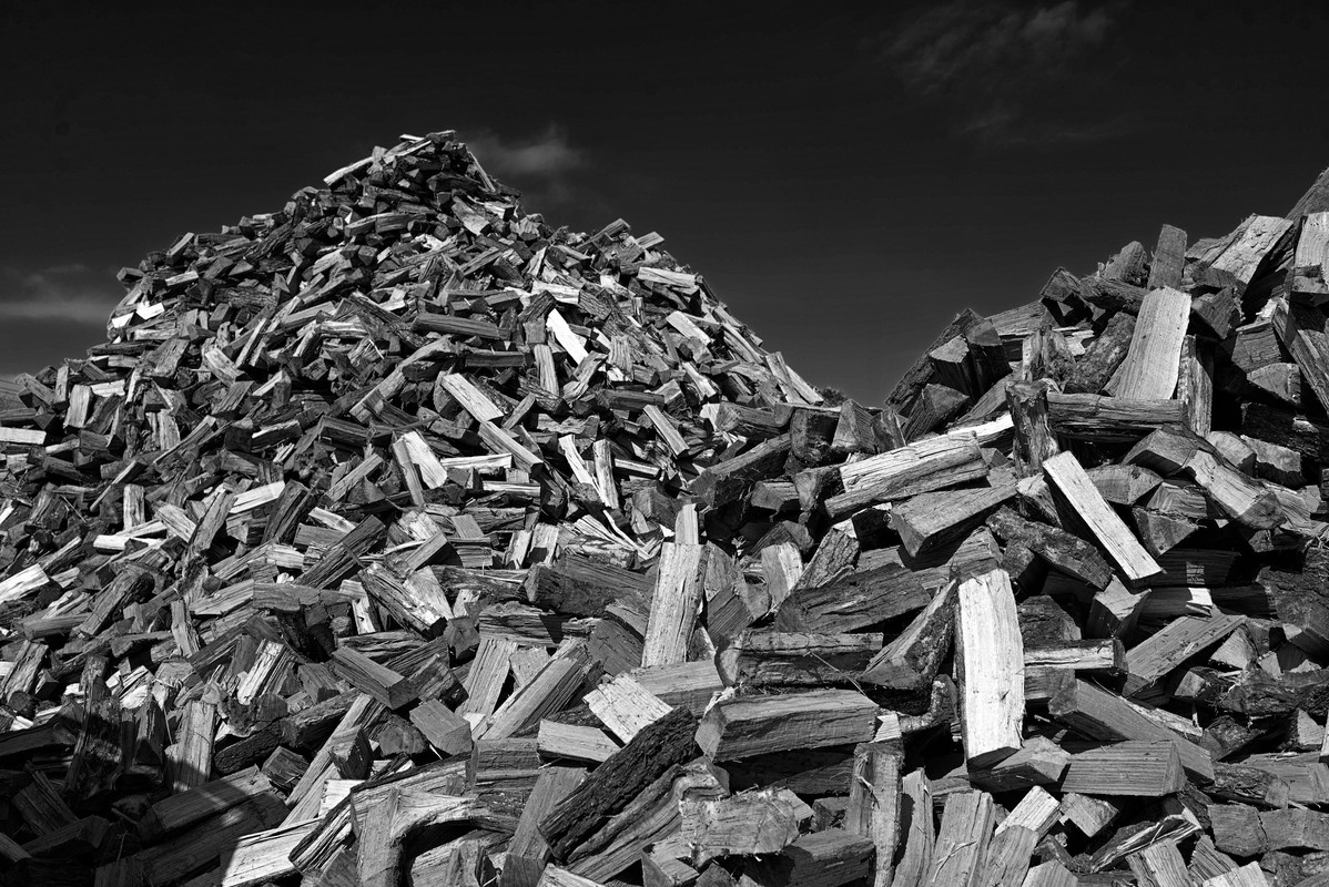 woodpile4.jpg