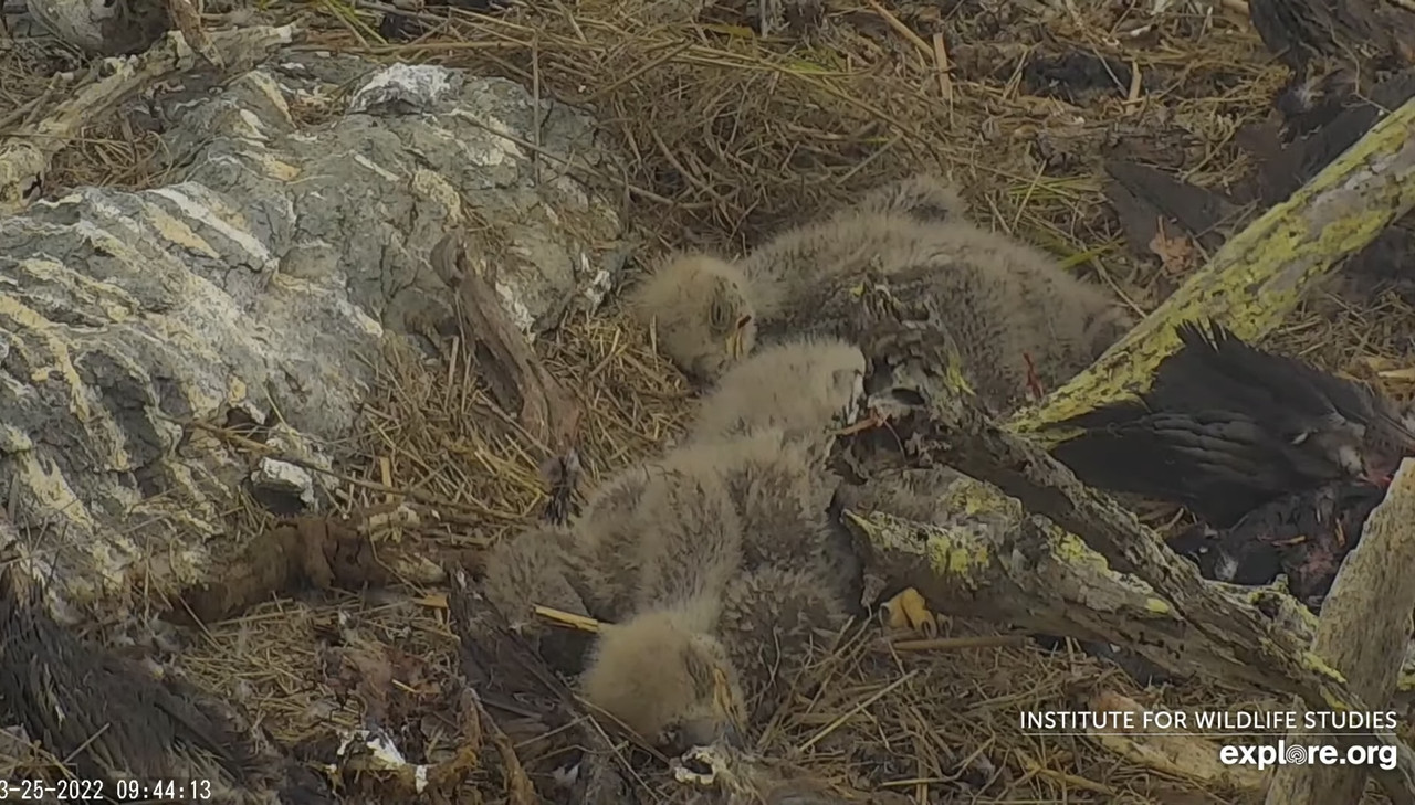 784F3868-EC94-4760-88C7-8998361B6AB4