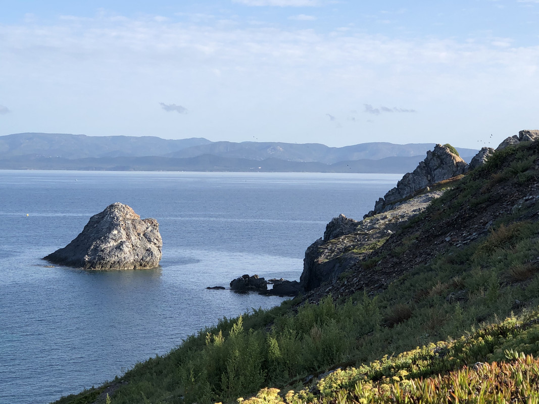 81429C20-9D23-4835-9DAE-3E3394B9D832