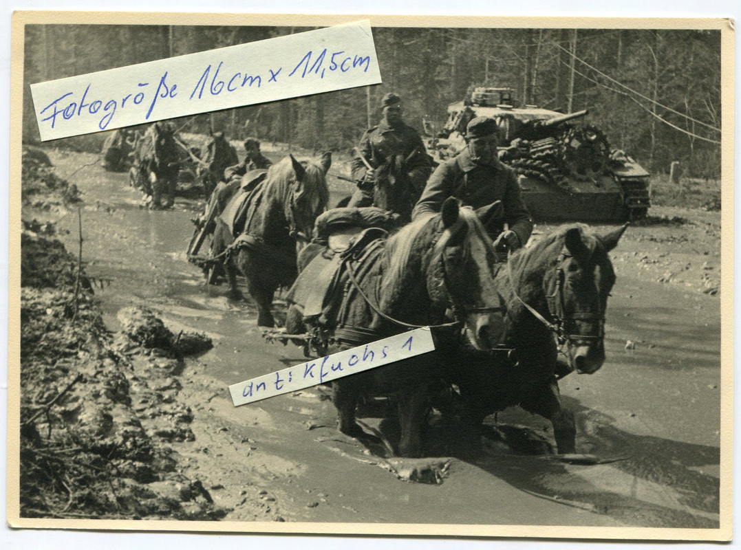 Panzer und Pferde auf Schlamm-Straße von Staraja Russa nach Chol