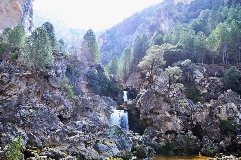RUTA RIO BOROSA-12-3-2016-JAEN - Paseando por España-1991/2016 (92)