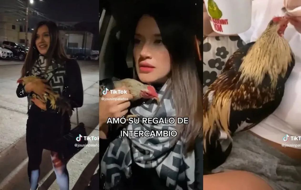 Chica recibe un gallo en intercambio navideño