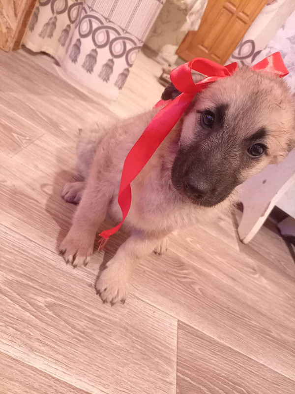 IMG-73ce70ed4c5882cb9166a9fa3543239c-V