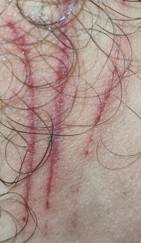 IMG 20260115 185923 (1) (1)