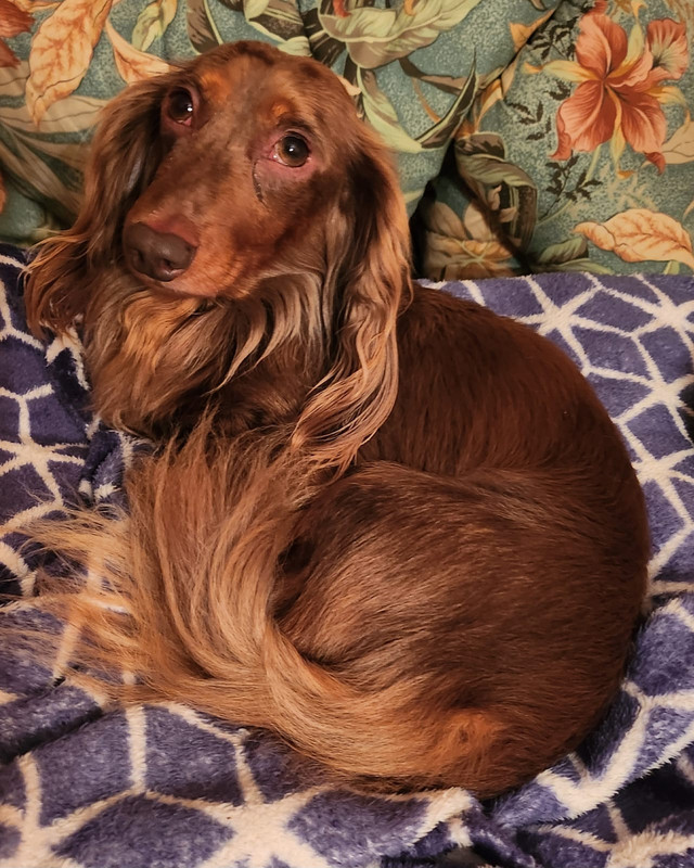 [Image: IMG-20240514-WA0004.jpg]