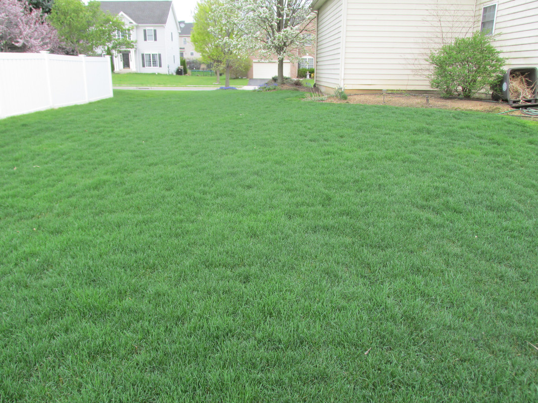 Lawn and Gardens 04.23.2019  (13)