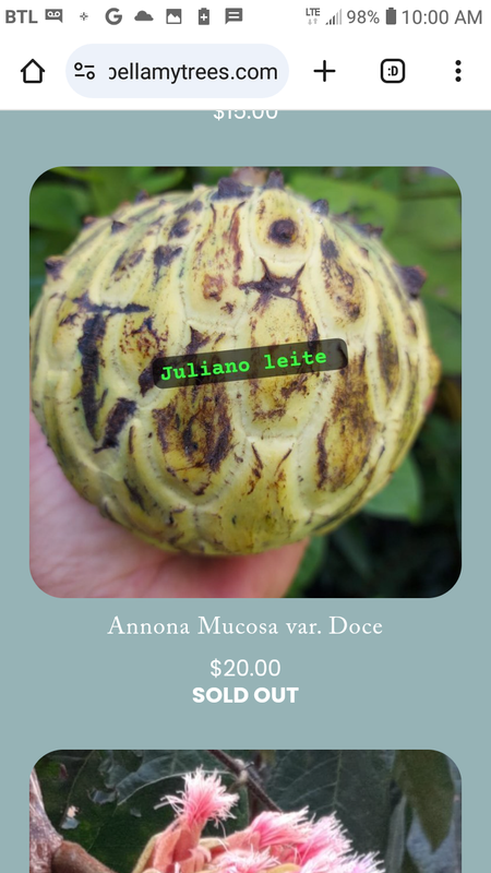 Screenshot_2025-02-25-10-00-20