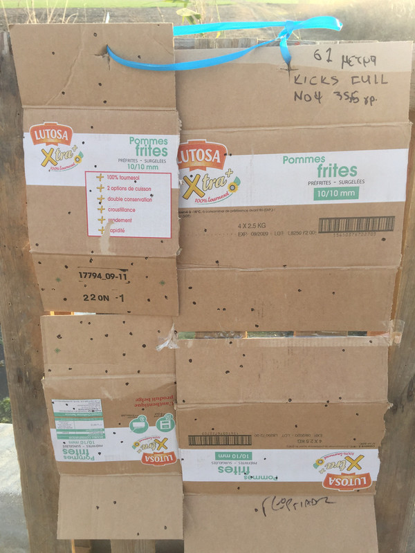 B010649C-7C77-473F-9A33-9E5236E2C4D9