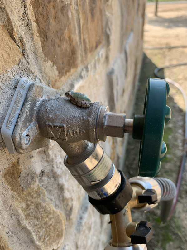 23D5FEF1-DDFB-411C-B557-947E9CCC696B