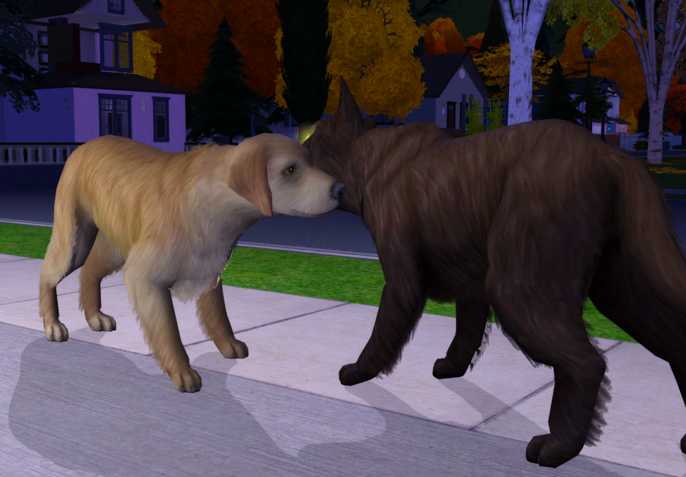 Sims2-EP9-RPC-2022-02-21-16-09-48-33