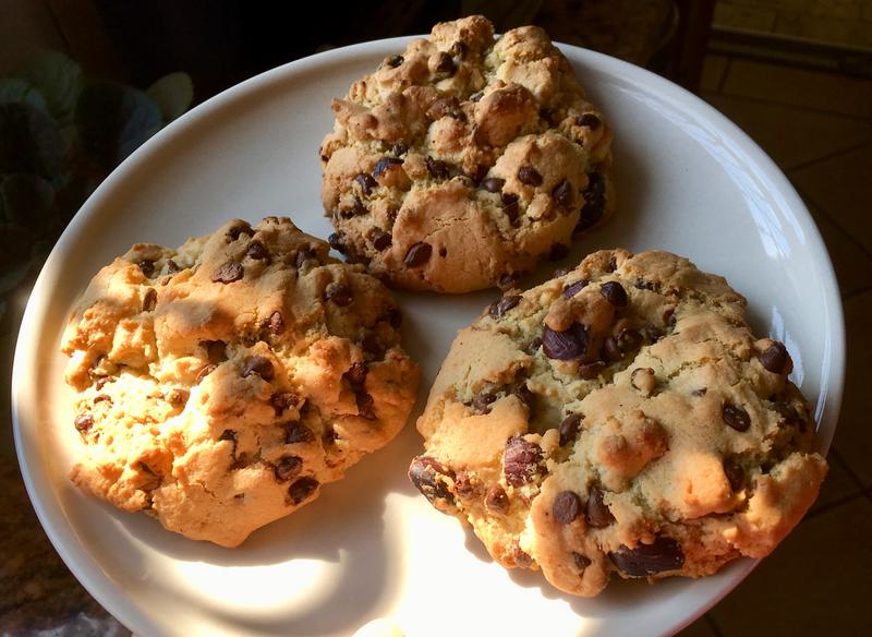 84764798-0D73-482E-9DA5-A19341B0F28B