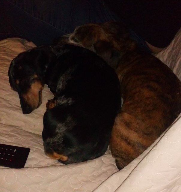 [Image: 20201227-183615.jpg]