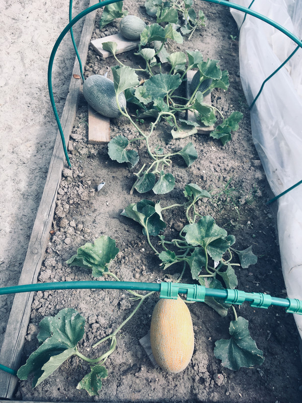 BF346D9B-98C2-4B50-A205-D55027EC1F0B