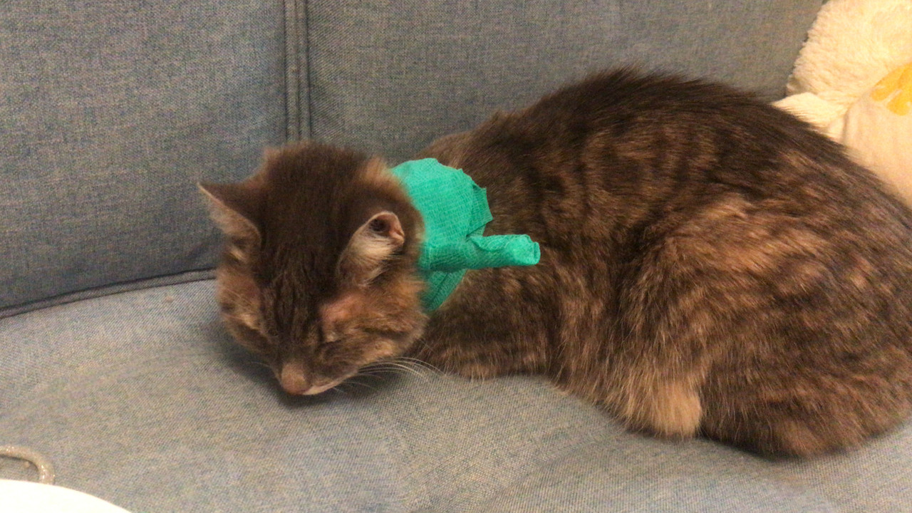 6563DF22-019A-49A3-936A-312218003BFE