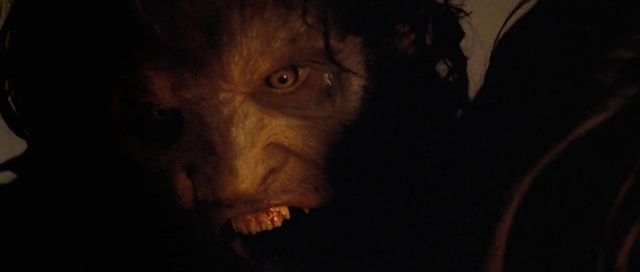 Skinwalkers 2006 BluRay [Hindi + English] 480p 720p ESub Screenshot