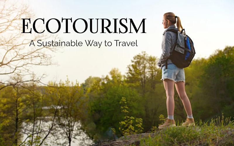 Top Eco-friendly Travel Destinations